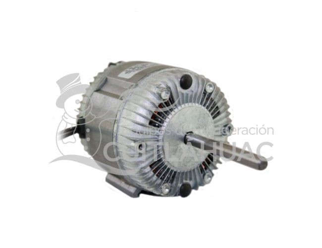 6301GGG MOTOR ROBEL 1/20 220V COPLE CW BALEROS