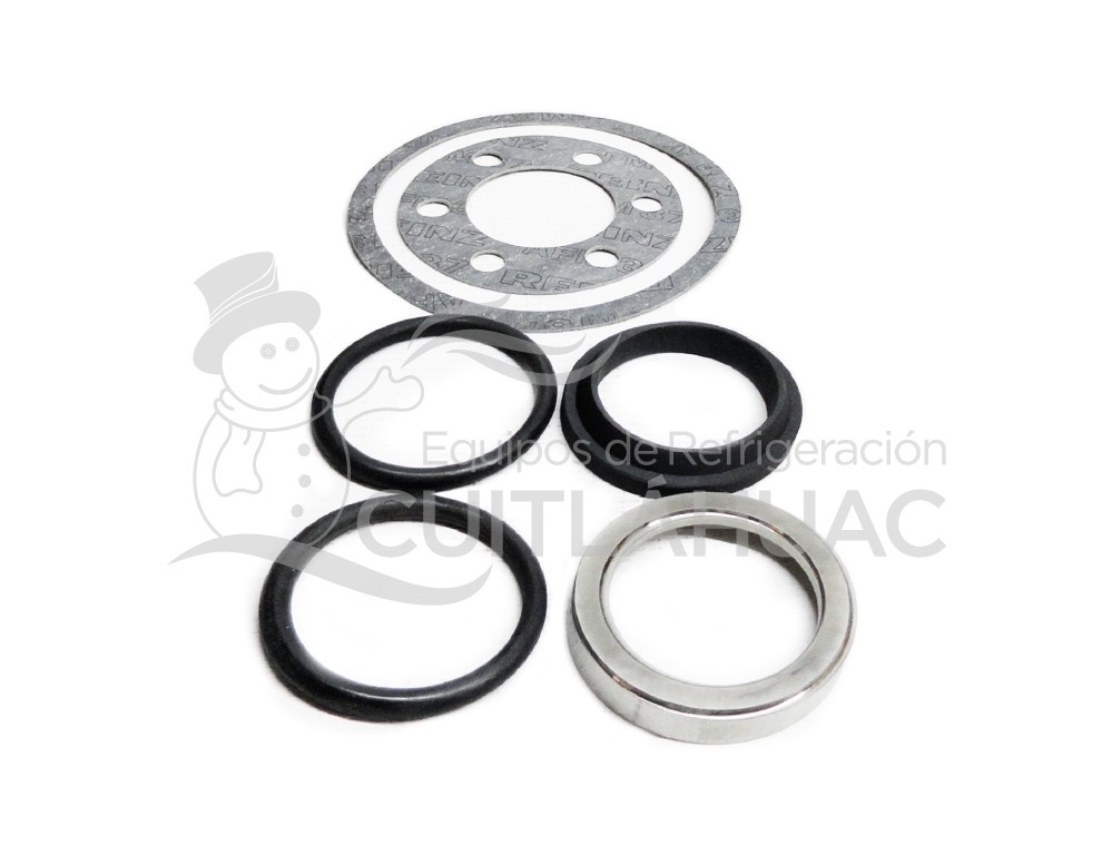 374008-06 ENSAMBLE SELLO MECANICO T-VII