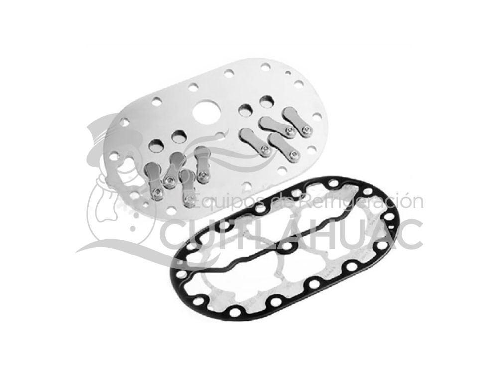 304051-03 PLATO VÁLVULAS GASKETS PARA 4B 3604