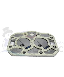 304059-01 PLATO DE VÁVULAS GASKETS 4C 0969